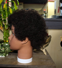 Afro Kinky Mannequin Head (4C)
